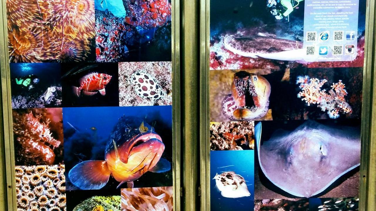 Estudio Los Molinos La Laguna  Zewnętrze zdjęcie